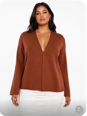 J.JILL V-Neck Long Sleeve 100% Cotton Sweater in Rust Size Large